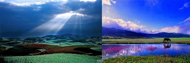 84841479095638 84841479095638